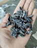 东北黑木耳干货特级秋木耳小云耳野生商用特产脆毛一级小碗耳 黑木耳30g*1袋 实拍图