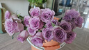 一网情深玫瑰花云南昆明鲜花基地直发玫瑰百合花束鲜切花家庭花材批发 紫玫瑰（16支+4支防损耗） 实拍图
