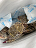 【冷冻】昌鲜园舟山全母梭子蟹鲜活冷冻3-4两/只 10只 25年新蟹源头直发包邮 实拍图