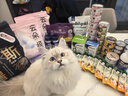 K9 Natural鸡肉羊肉猫主食罐头170g*6成猫幼猫猫湿粮猫罐头 新西兰原装进口 实拍图