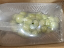 辣青春【顺丰多地次日达】云南阳光玫瑰青提葡萄晴王当季新鲜水果礼盒装 特级果2斤【礼盒装】单颗10-12g 颗颗甄选 实拍图