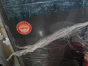 YANGZI【补贴20%】扬子集团10公斤洗衣机家用全自动小型大容量洗烘一体机波轮洗衣机出租房宿舍脱水机 11kg【动力升级+蓝光洁净+桶自洁】终生维修 波轮 10年保修 实拍图