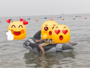 INTEX 大黑鲸坐骑 儿童成人水上游泳圈充气浮排床板戏水冲浪承重40kg 实拍图