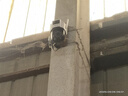 乔安4g摄像头室户外终身免充值流量家用监控器360度无死角带夜视全景旋转云台户外家用手机远程 实拍图