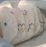京东京造婴儿拉拉裤尿不湿纸尿裤Cloud云柔L36片(9-14kg)超薄透气干爽 实拍图