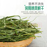 洁西 烘干小麦草 兔兔牧草干草适用于荷兰猪龙猫豚鼠粮食饲料500g 实拍图