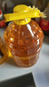 鲁花 食用油 物理压榨 葵花仁油6.18L  实拍图