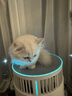 霍尼韦尔（Honeywell）宠物空气净化器吸猫毛除过敏源猫猫搭子 猫毛净化器杀菌消毒除异味【家电国家补贴】KJ360F-C22W 实拍图