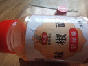 六婆辣椒面500g*2瓶 香辣味+特辣味火锅干碟烧烤肉蘸料辣椒粉家用商用 实拍图