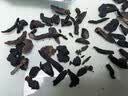 煜树 肉苁蓉100克  苁蓉鲜干片肉苁蓉片干肉苁蓉油肉苁蓉可泡水泡酒 实拍图
