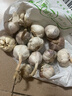 紫白皮蒜水果大蒜超市即食生鲜蔬菜大蒜 特价带箱 1斤 单果3.5-5cm 实拍图