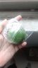 新鲜现摘青柠檬茶饮搭档 青柠檬1粒尝鲜装-单果80克+ 实拍图