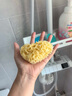 OKBABY天然海绵婴儿洗澡海绵宝宝洗澡沐浴球儿童成人洗脸搓澡蜂窝海绵 S级细幼型14#+群岛型10# 实拍图