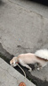 普安特驱虫药狗狗猫咪体内外同驱滴剂打虫药幼猫幼犬虱除跳蚤宠物除虫药 体外驱虫3支+体内驱虫6粒（猫用） 实拍图