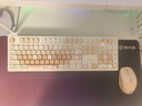 前行者MT108快乐小猫无线机械键盘鼠标套装高颜值女生粉色三模蓝牙有线红轴办公电脑游戏电竞笔记本外设 108键无线三模快乐小猫+无线蓝牙鼠标 青轴【清脆手感】 实拍图