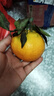正宗四川不知火丑橘新鲜整箱水果应当季粑粑丑八怪柑橘耙耙桔子 精品果 【70-80mm】性价比 9斤 实拍图