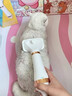 HELLOJOY宠物吹风机吹水机泰迪比熊卷毛犬狗狗拉毛吹梳一体神器用品 实拍图