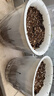 九千谷花盆塑料透明懒人自吸水盆水培水养植物免浇水储水盆口径16cm6049 实拍图