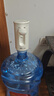 小熊（Bear）桶装水抽水器 饮水机抽水泵神器 水桶取水器 电动上水器矿泉水压水器自动吸水器F06Q1 实拍图