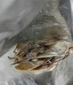 赶海弟【潍坊产地】五星4A墨鱼干500g20-25头乌贼目鱼煲汤 源头直发包邮 实拍图