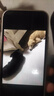 Apple苹果iPhone17/16/15/14/13/12pro/max系列 二手手机内存以质检报告为准 苹果 iPhone 12 mini 实拍图
