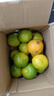 【东东农场专供】宜昌蜜桔新鲜青皮蜜橘酸酸甜甜介意勿拍新鲜采摘 【东东农场专供】蜜桔带箱3斤装 实拍图