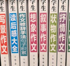 小学生黄冈作文大全（套装8册）想象+写人+叙事+写景+状物+读后感+抒情+作文修辞手法句子积累 小学生作文大全3-4-5-6年级同步素材优秀辅导教材提升6-12岁 实拍图