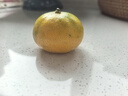 纽盾抗菌防霉玻璃胶防水马桶收边密封胶厨卫专用缝隙美容胶硅胶瓷白色 实拍图