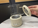 乐炖 养生壶迷你养生杯电炖杯办公室煮茶壶煮茶器小型一人花茶壶烧水壶电煮茶杯加热杯垫炖煮壶一体 【高颜值】智能0.6L养生壶 0.6L 加厚材质带三年以换代修 实拍图