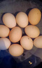 京喜加 谷物喂养初产新鲜鸡蛋40g正负5g生鲜超市买菜早餐土鸡蛋草鸡蛋 10枚富硒鸡蛋50g 实拍图