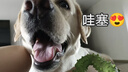 绿联笔记本电源线收纳包 数据线充电器鼠标耳机收纳便携包适配于苹果华为电脑配件收纳包粉色 实拍图