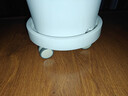 爱丽思花盆塑料圆形树脂多肉花盆种花种菜盆绿萝爱丽丝 白色口径26.6cm 实拍图
