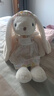 伽百利毛绒玩具可爱兔子公仔玩偶抱枕陪伴生日礼物送女生娃娃 W3601阿加莎 发带围裙兔 50cm 实拍图