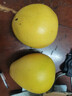 柚满园梅州红心柚子红柚子正宗梅县特产新鲜水果冰糖金碌柚红肉红心蜜柚 大果带箱4.5-5斤共2个 实拍图