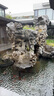 松下（Panasonic）CR2032进口纽扣电池3V适用汽车钥匙遥控器手表电脑主板电子秤小米盒子CR2032 五粒 实拍图