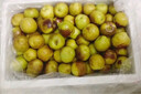 农夫山泉 饮用水 饮用天然水1.5L 1*12瓶  整箱装 塑膜随机发货 实拍图