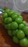 星派果【顺丰JD多地次日达】云南阳光玫瑰青提葡萄当季新鲜水果礼盒装 2斤箱装【单粒6-10g】净重1.5斤 颗颗甄选 实拍图