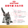 皇家猫粮 英短幼猫粮 BSK38 通用粮 4-12月 2KG 实拍图