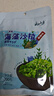 云山半海藻沙拉200g*5袋裙带菜开袋即食海草海带丝凉拌菜日式寿司 实拍图