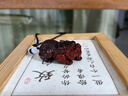 迎胤国印度小叶紫檀貔貅手把件文玩小摆件红木招财貔貅随身盘玩皮丘挂件 实拍图