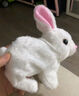 亦趣电动兔子小白兔毛绒玩具会跑会叫好玩女孩3岁儿童生日礼物 小兔子(白) 实拍图
