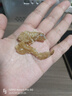 特色烤鱼肉鳕鱼肉鱼骨童年记忆零食模拟红烧蟹肉烤鱼片山东即食网红鱼干特产干货熟食 鳕鱼肉有刺款250g*1袋 实拍图