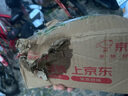 斧头牌（AXE）地板清洁剂 柠檬清香1L 瓷砖实木地板通用 新老包装随机发货 实拍图
