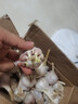 紫白皮蒜水果大蒜超市即食生鲜蔬菜大蒜 【实惠】5斤带箱 净重4.55斤单果3.5-5cm 实拍图
