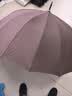 天堂伞 双人雨伞直柄 大号半自动雨伞16骨加固抗风拒水 沙棕色 实拍图