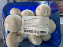 白蘑菇230g 实拍图