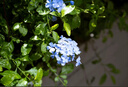 松下S5M2（20-60mm F3.5-5.6）（Panasonic）S5二代 全画幅微单相机 约2420万有效像素 新相位混合对焦 实拍图