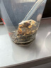 同仁堂北京同仁堂冬瓜荷叶茶玫瑰花茶大麦橘皮减油柠檬肥决明子胖茶120g 实拍图