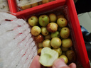 脆甜冬枣新鲜现摘装果园直发当季脆甜大枣子脆甜多汁农家自种批发 礼盒装4斤大果（单果16克以上） 实拍图