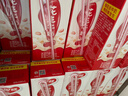 银鹭9月新货 银鹭花生牛奶蛋白饮品250mlx16/24盒整箱早餐学生奶批发 花生牛奶250ml×24盒 实拍图